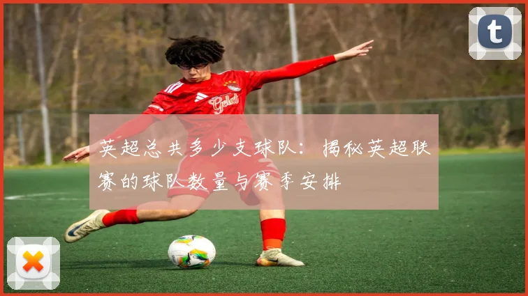 英超总共多少支球队：揭秘英超联赛的球队数量与赛季安排